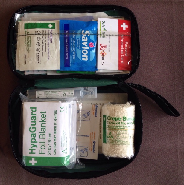 First Aid 2015 Pdf Free