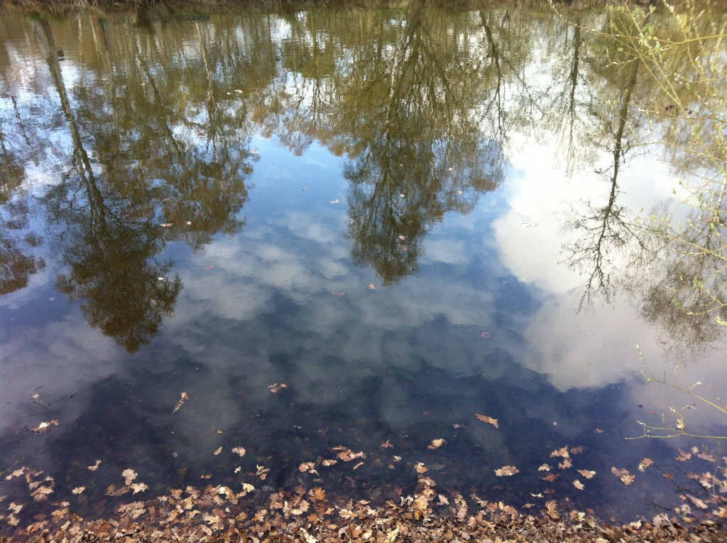 Woodhall Spa Campsite