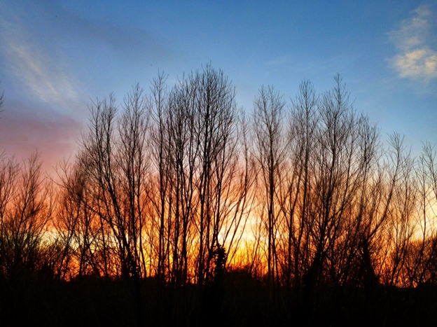 Lincolnshire Sunset