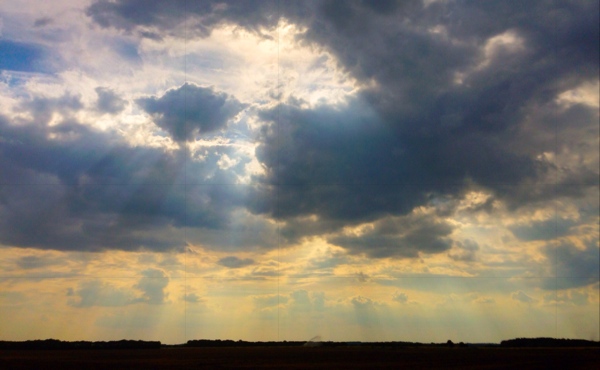 Blankney Fen