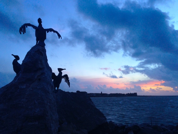 Morecambe Cormorants