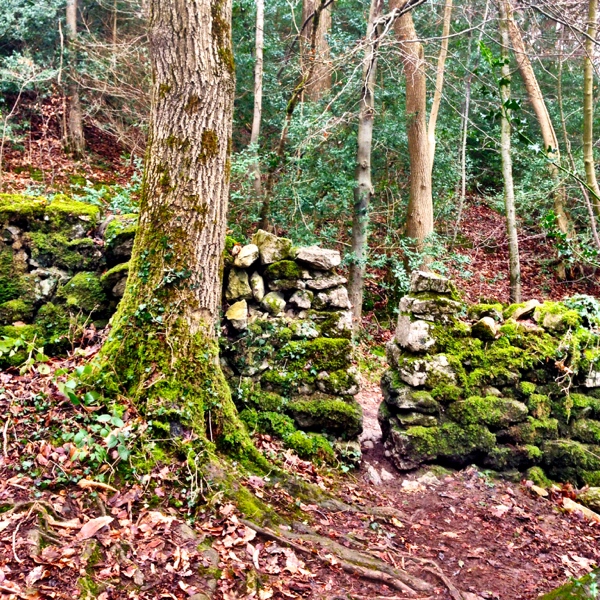 Warton Crag foot path passes through this gap