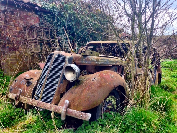 An abandoned car complete with trees growing through it