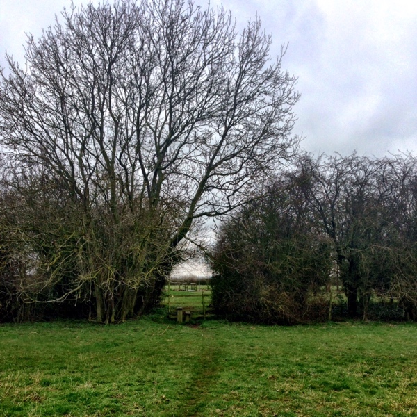 Stickney footpaths
