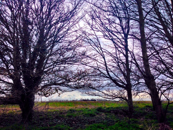 The view at lunchtime - walking in Lincolnshire