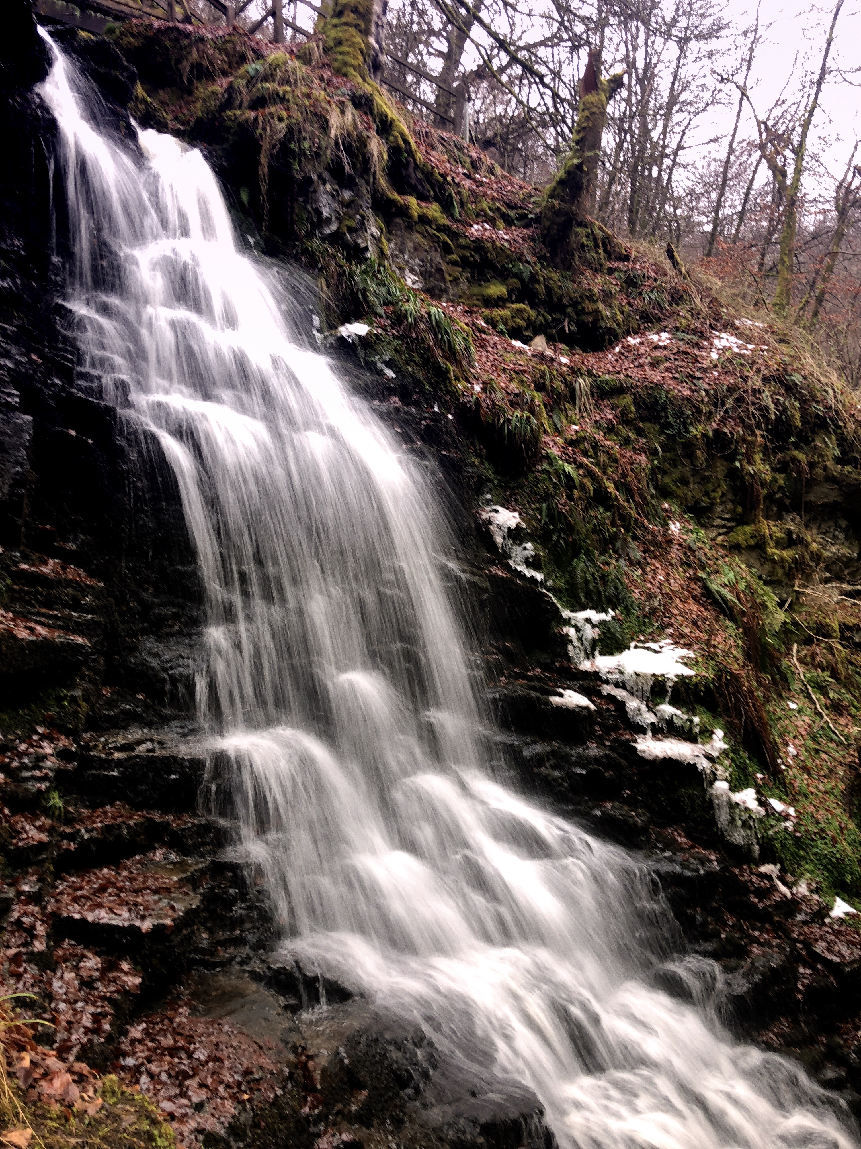 The Birks of Aberfeldy