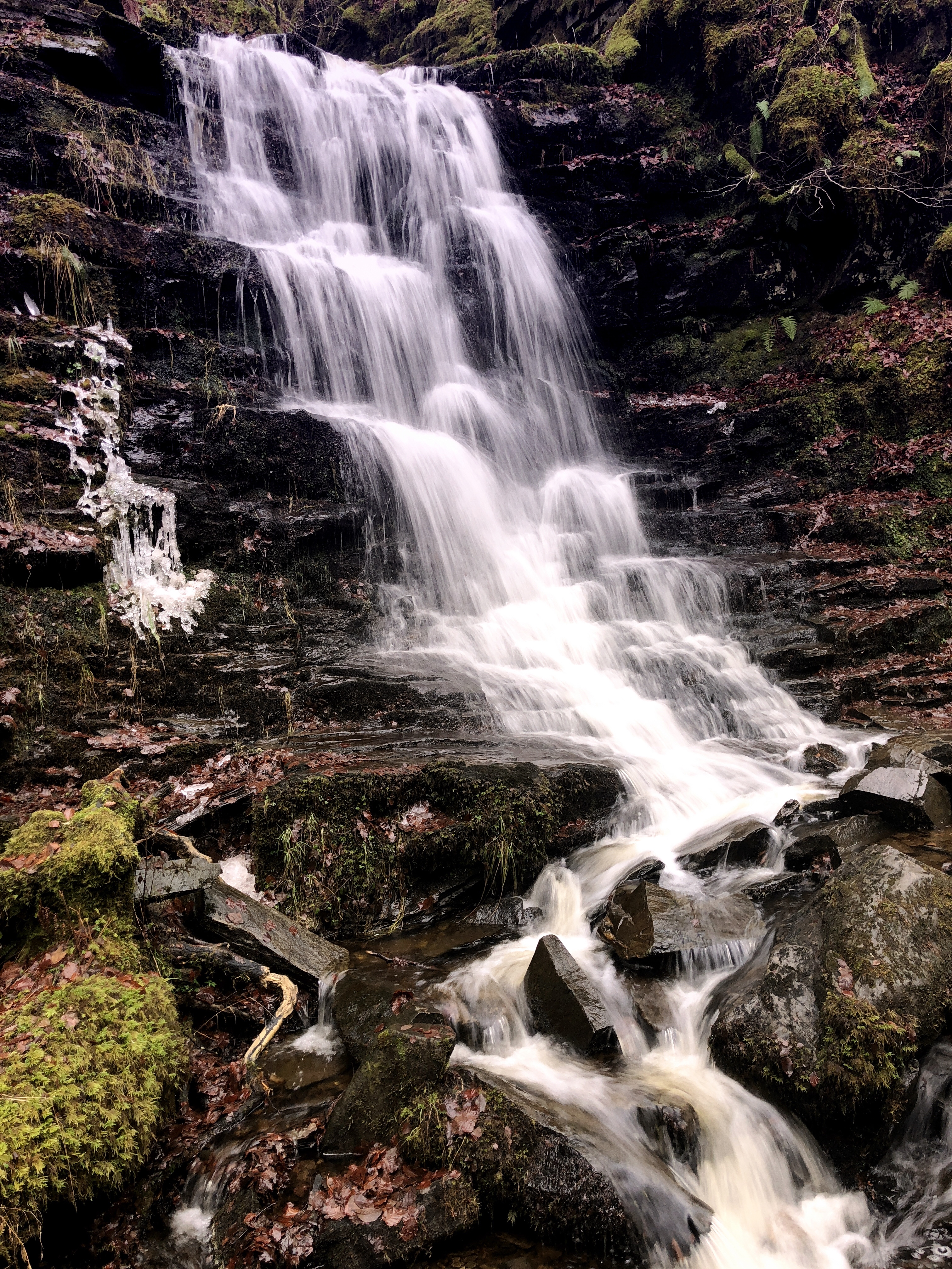 The Birks of Aberfeldy