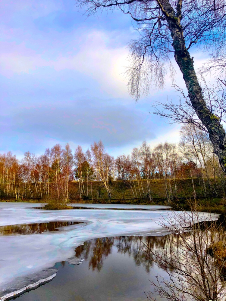 Craigellachie National Nature Reserve