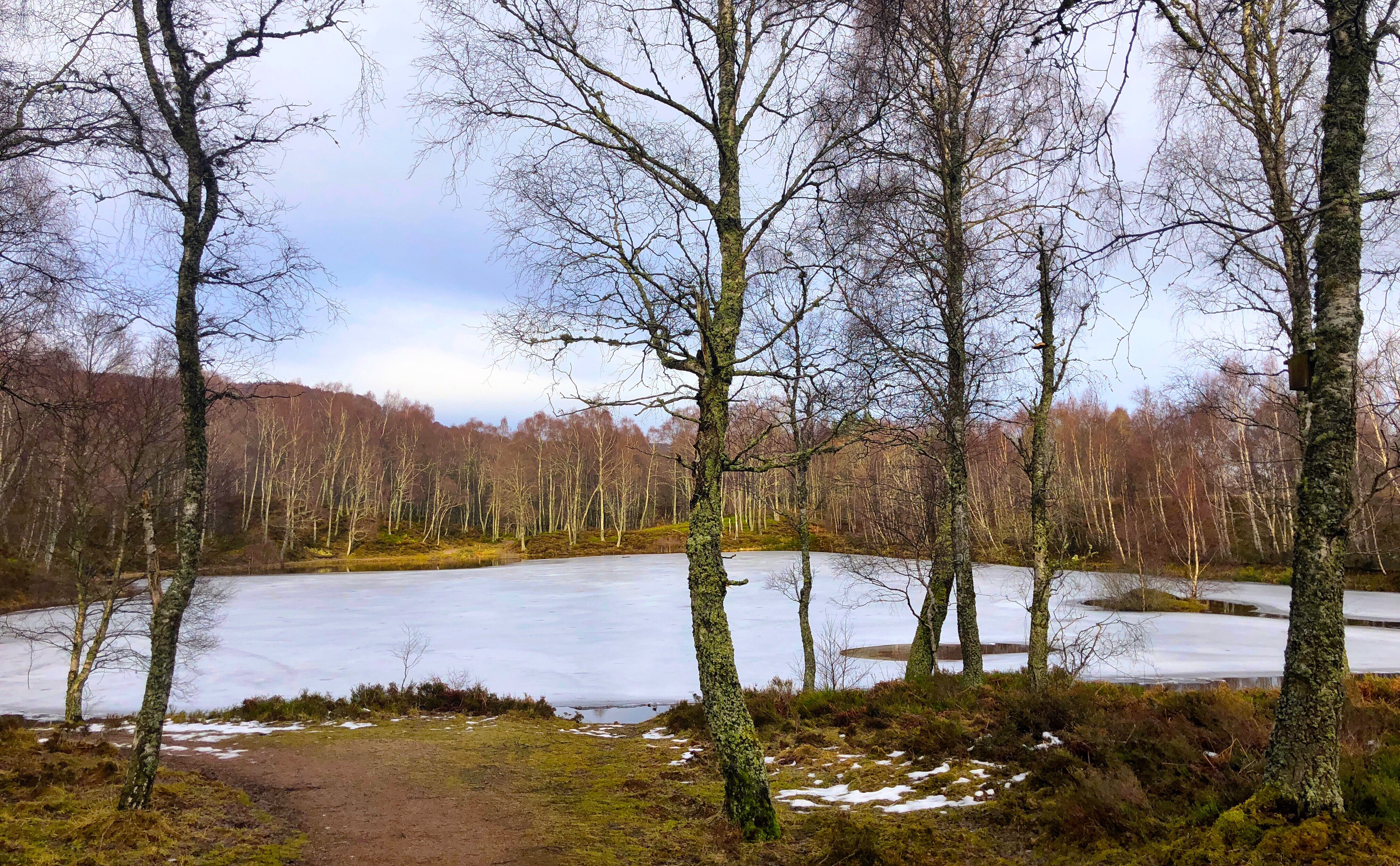 Craigellachie National Nature Reserve 