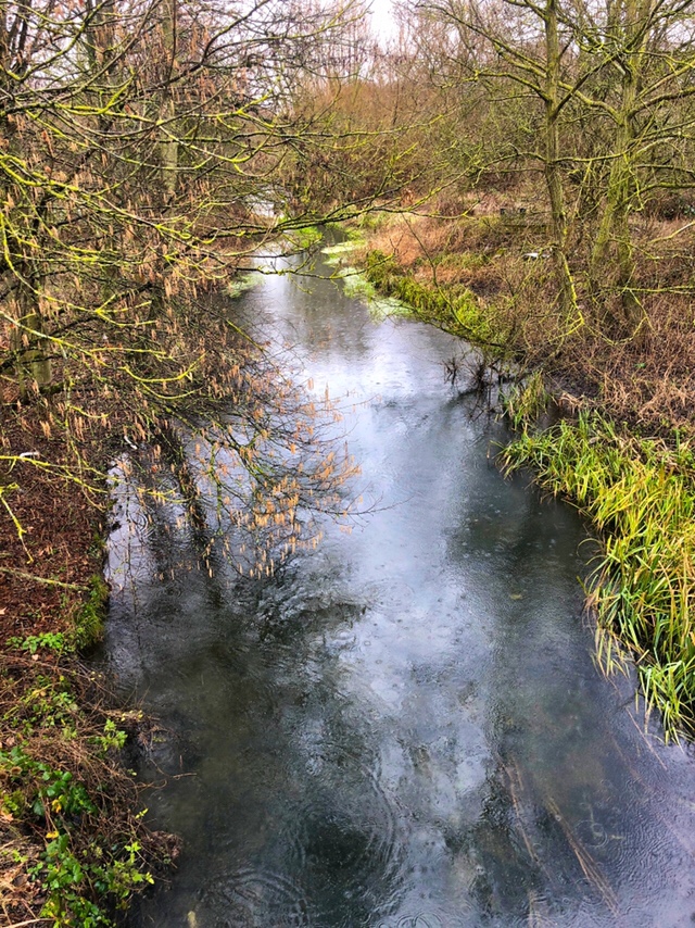 A walk in the rain