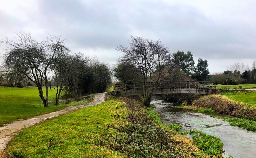 A walk in the rain