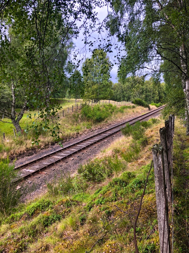 Strathspey Railway