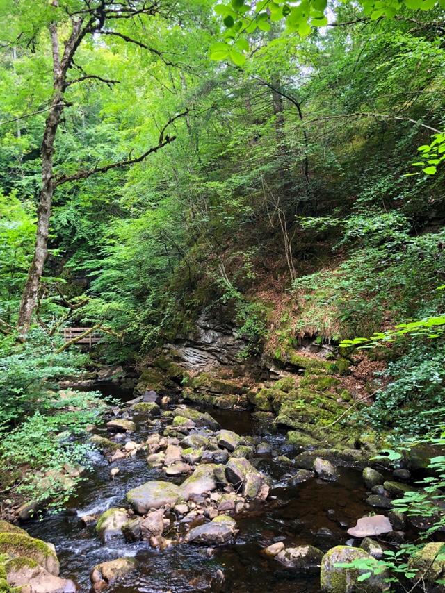 Big Burn Walk and Falls - Golspie