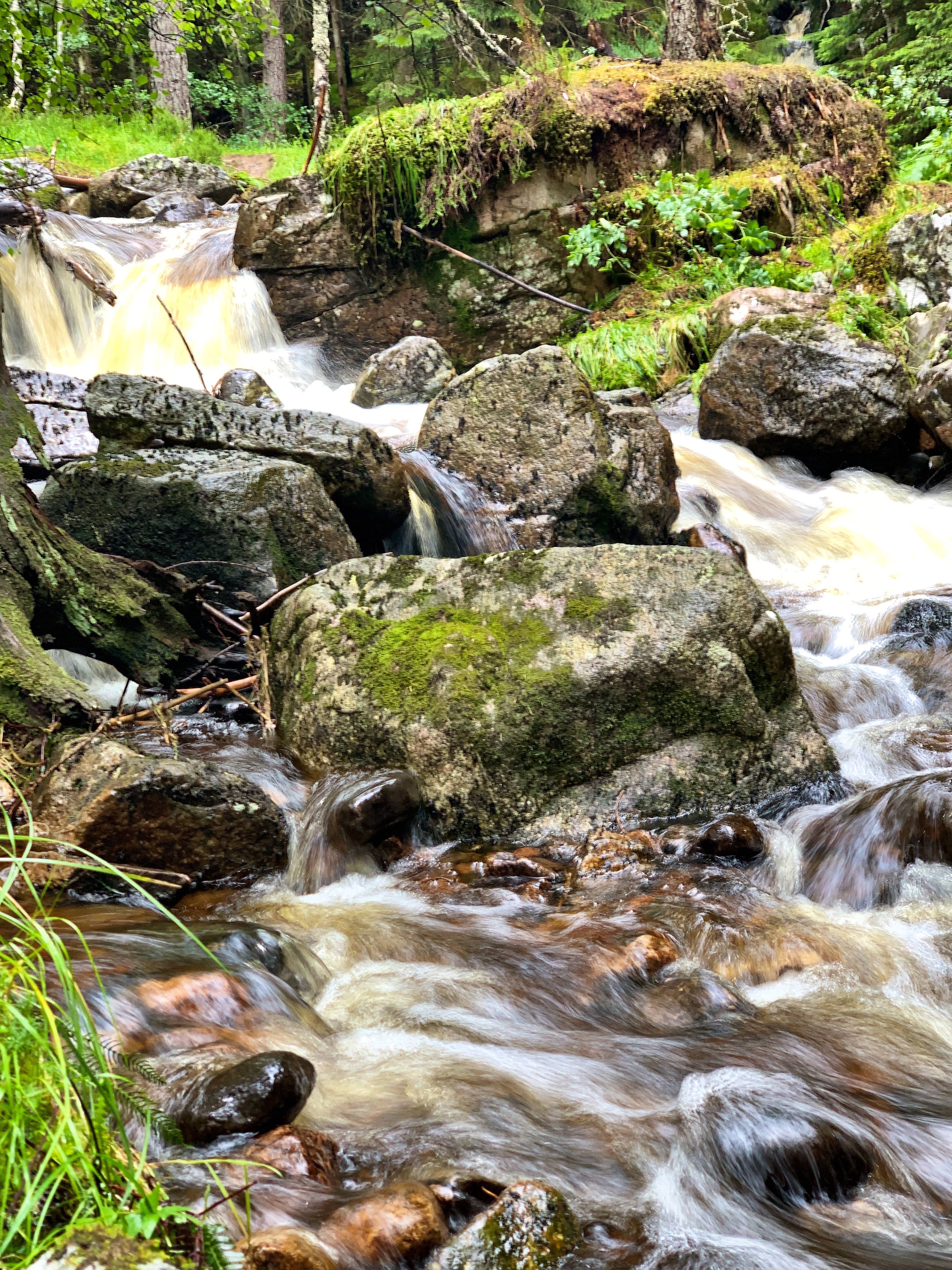 Walking in the Cairngorms