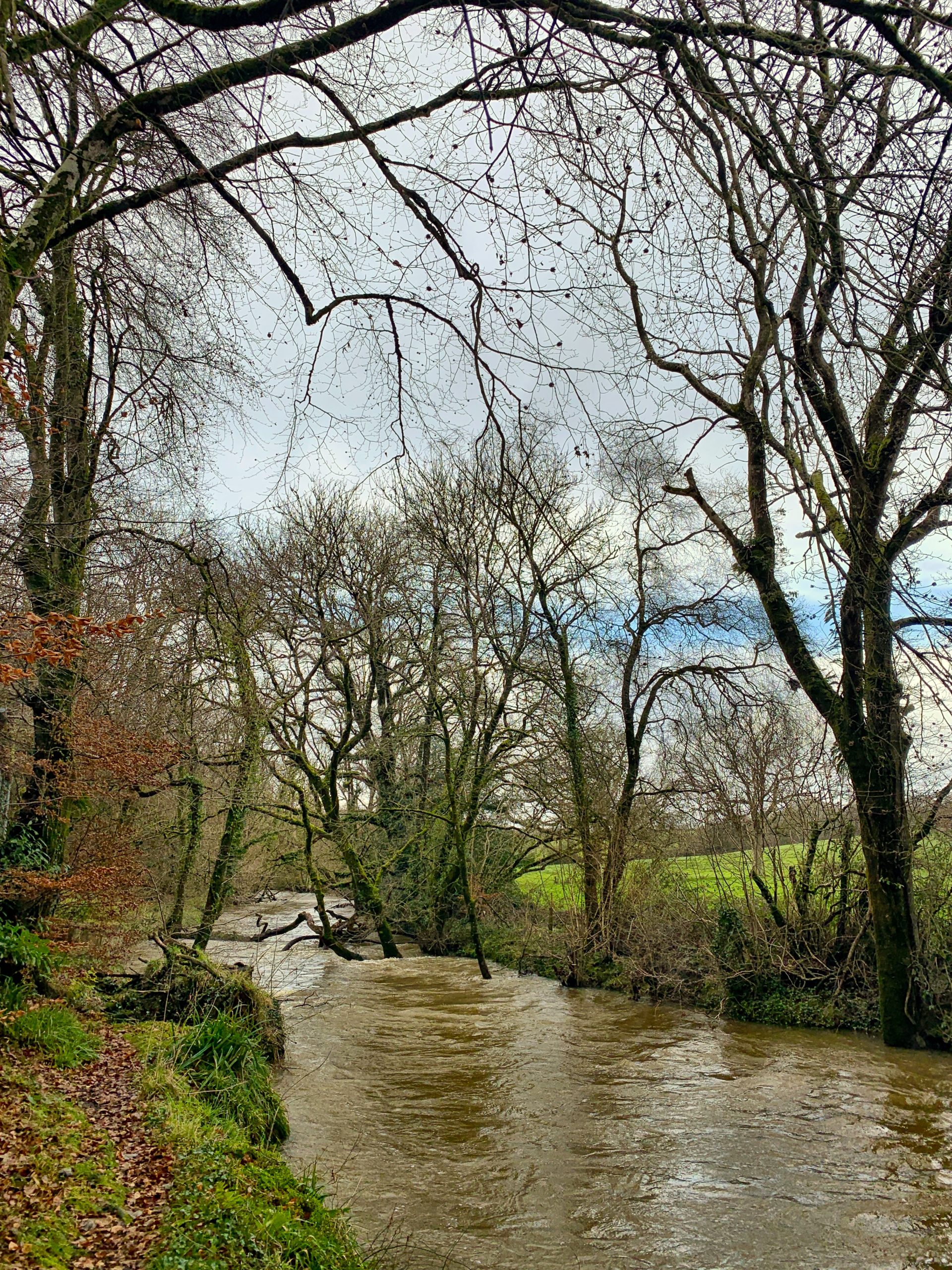 Woodford Bridge