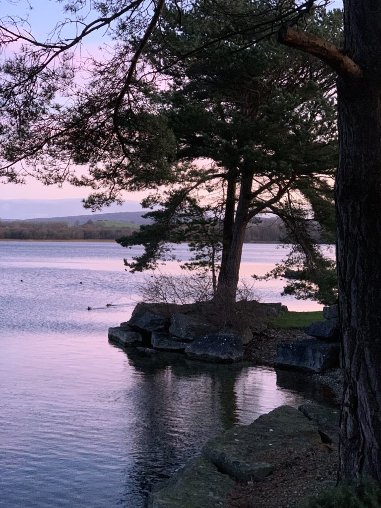 Pine Lake Sunrise​