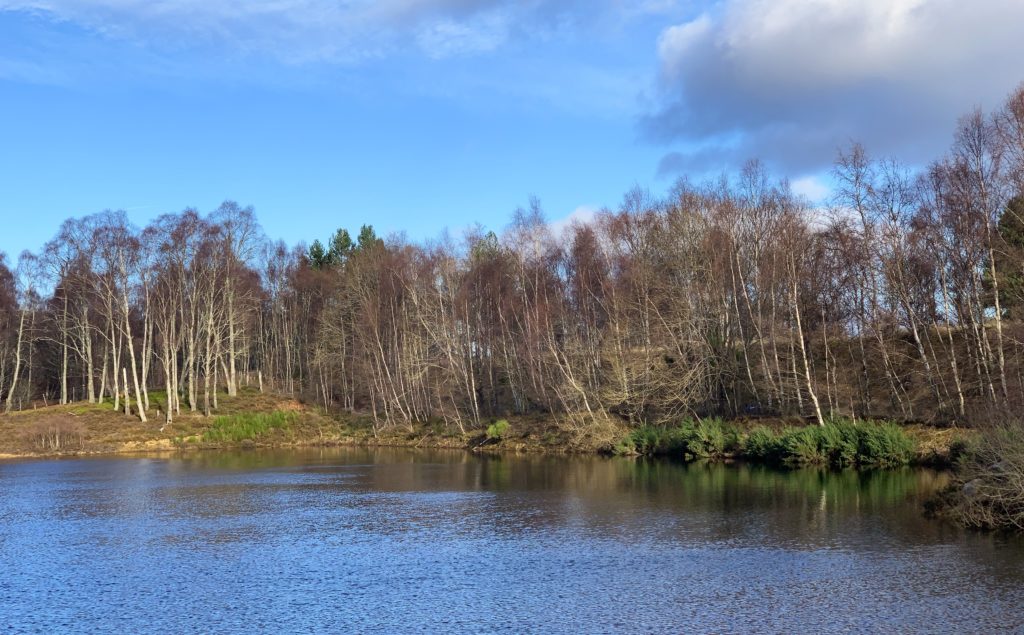 Craigellachie National Nature Reserve