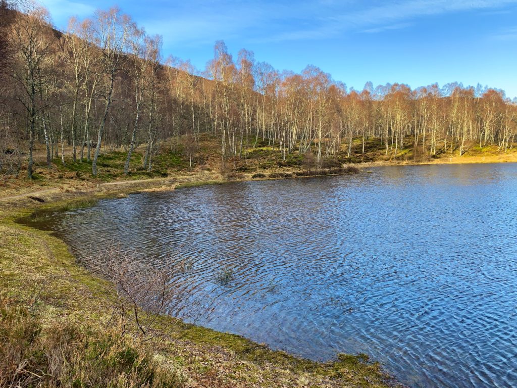 Craigellachie National Nature Reserve