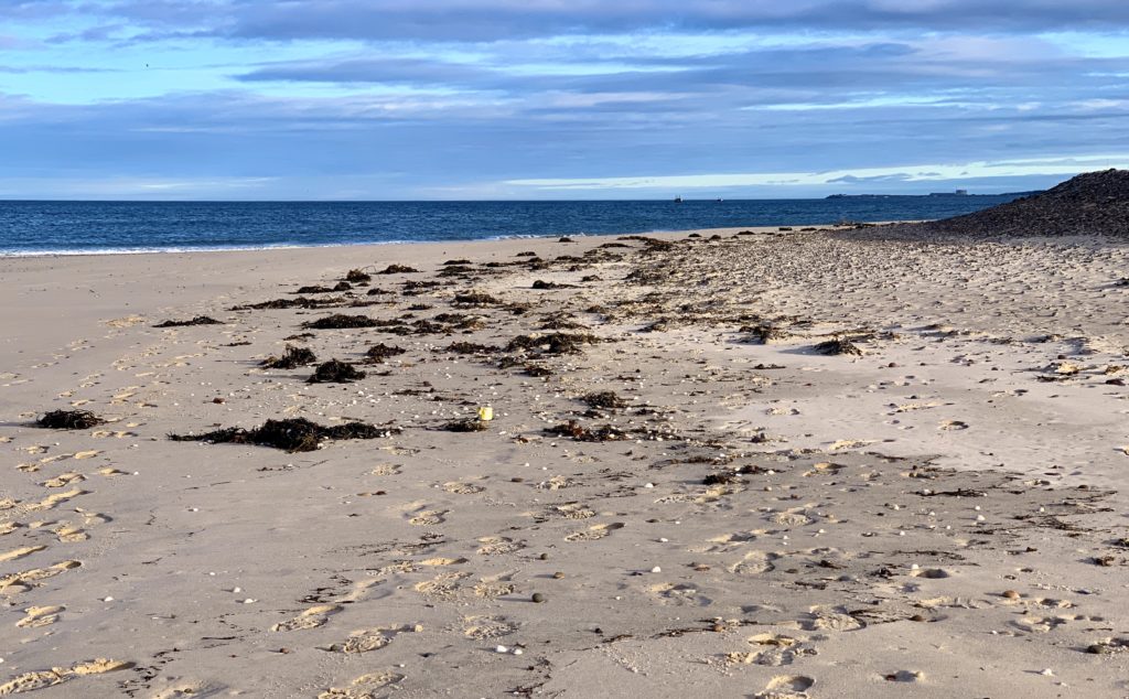 Findhorn