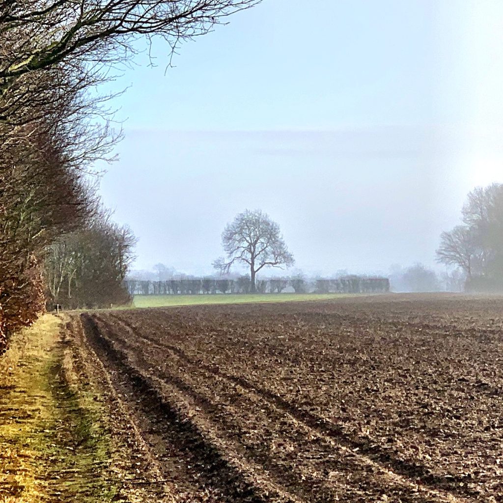 Walking in Lincolnshire