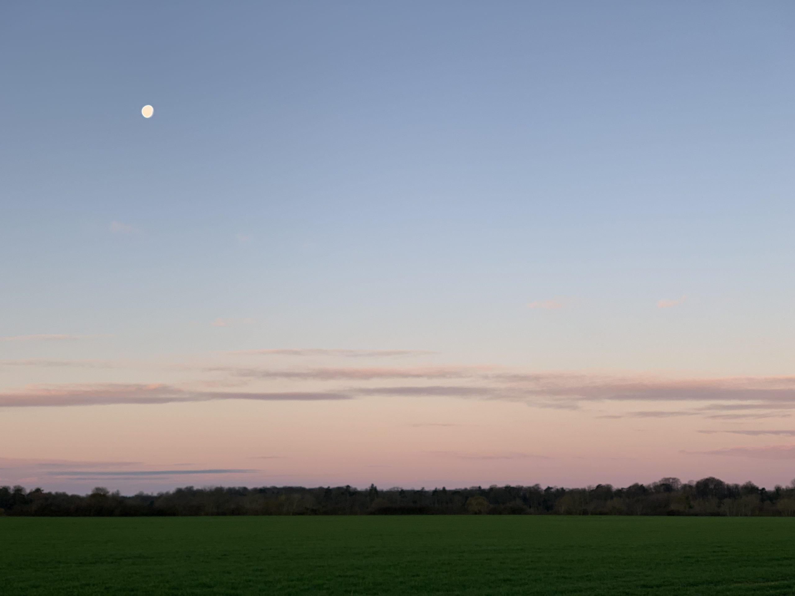 Blankney Walks