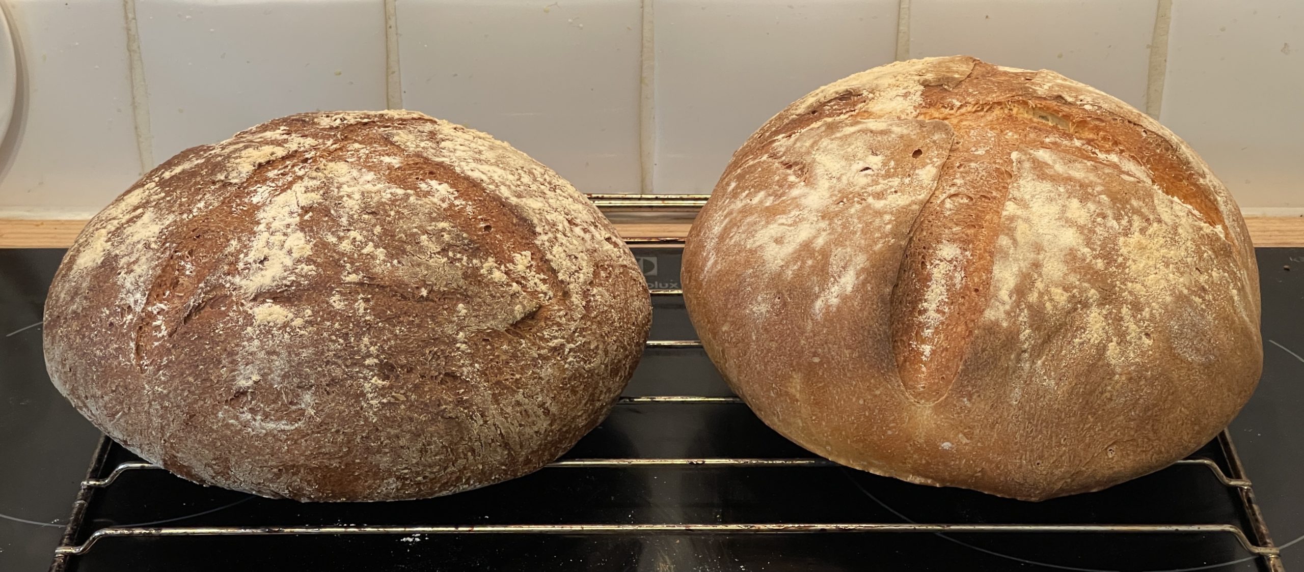 Fresh baked bread​ wholemeal and white loaves