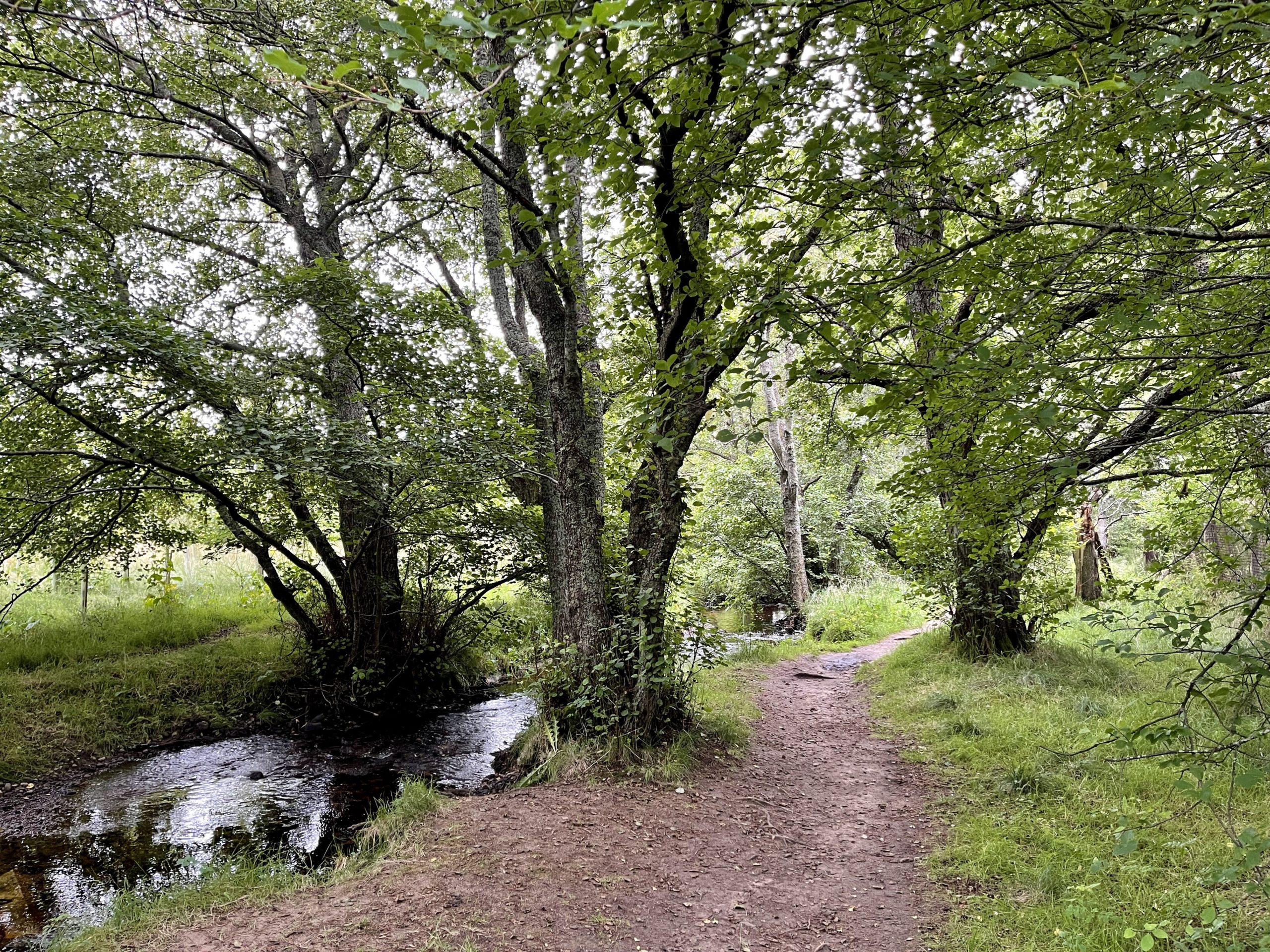 Aviemore Orbital Path