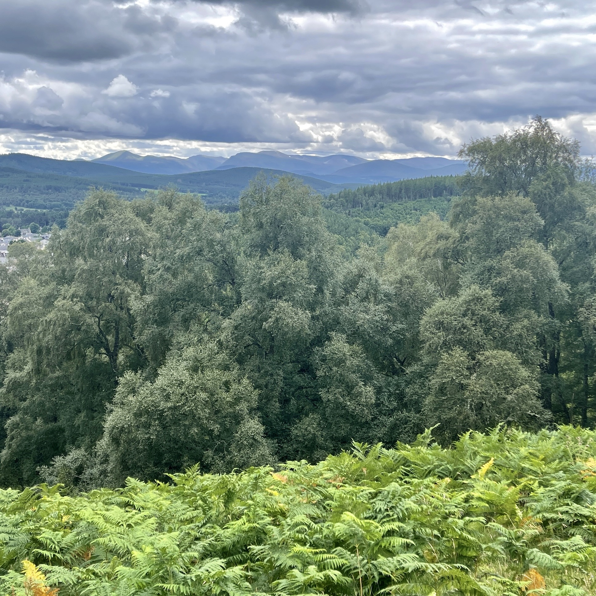 The view at lunch towards the Cairngorms​