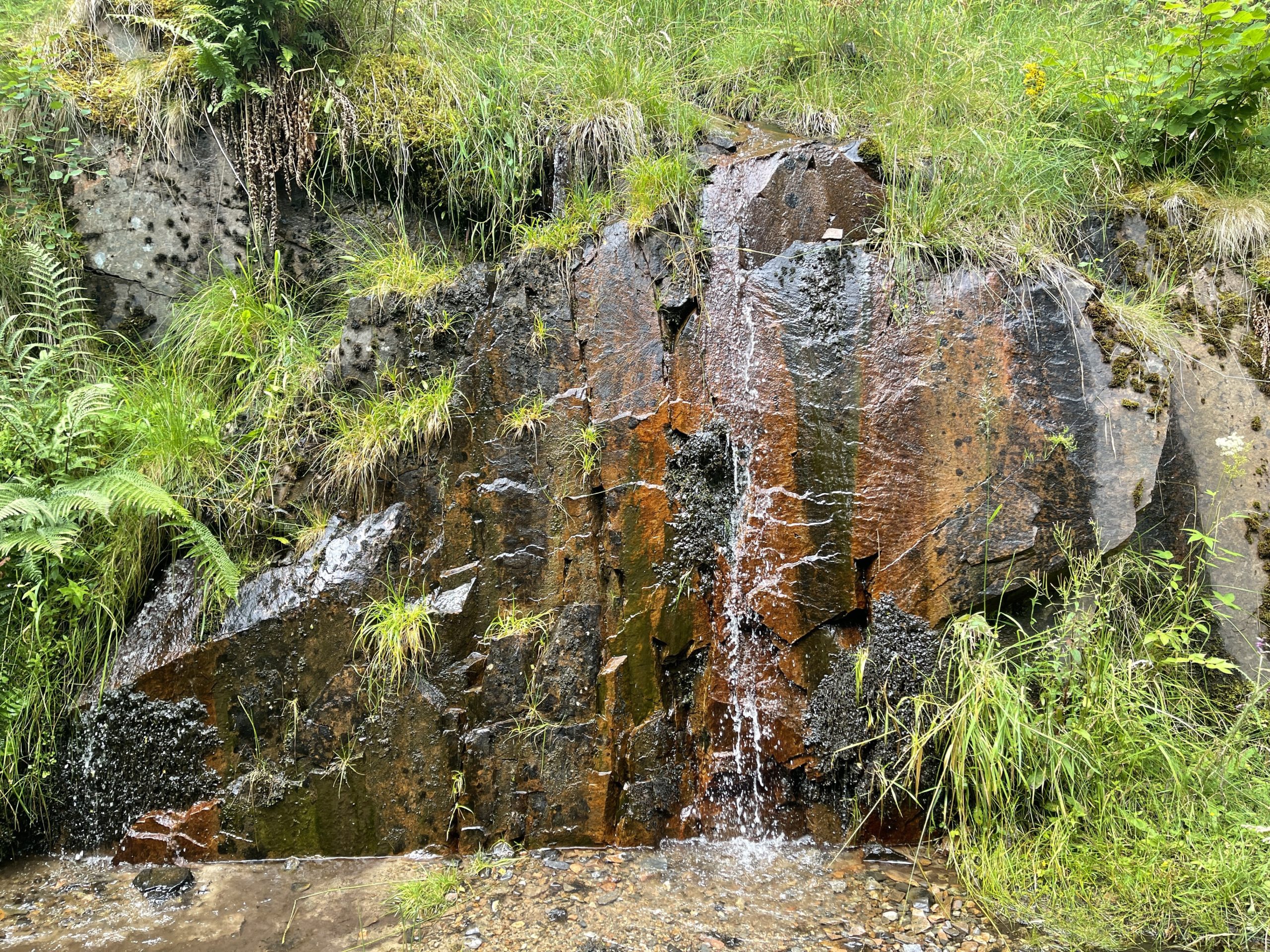 Along the Dava Way