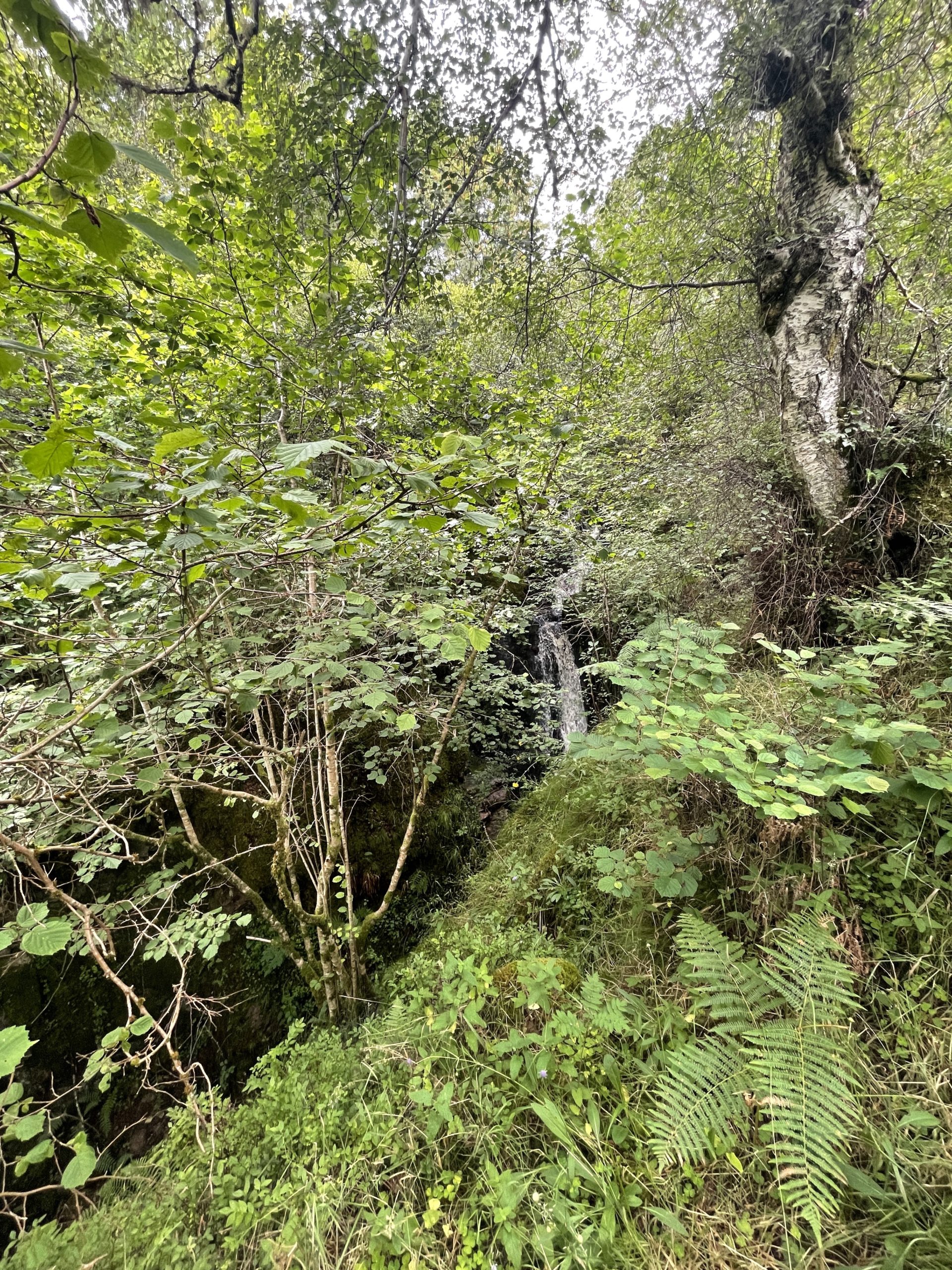 Dhulaig Falls