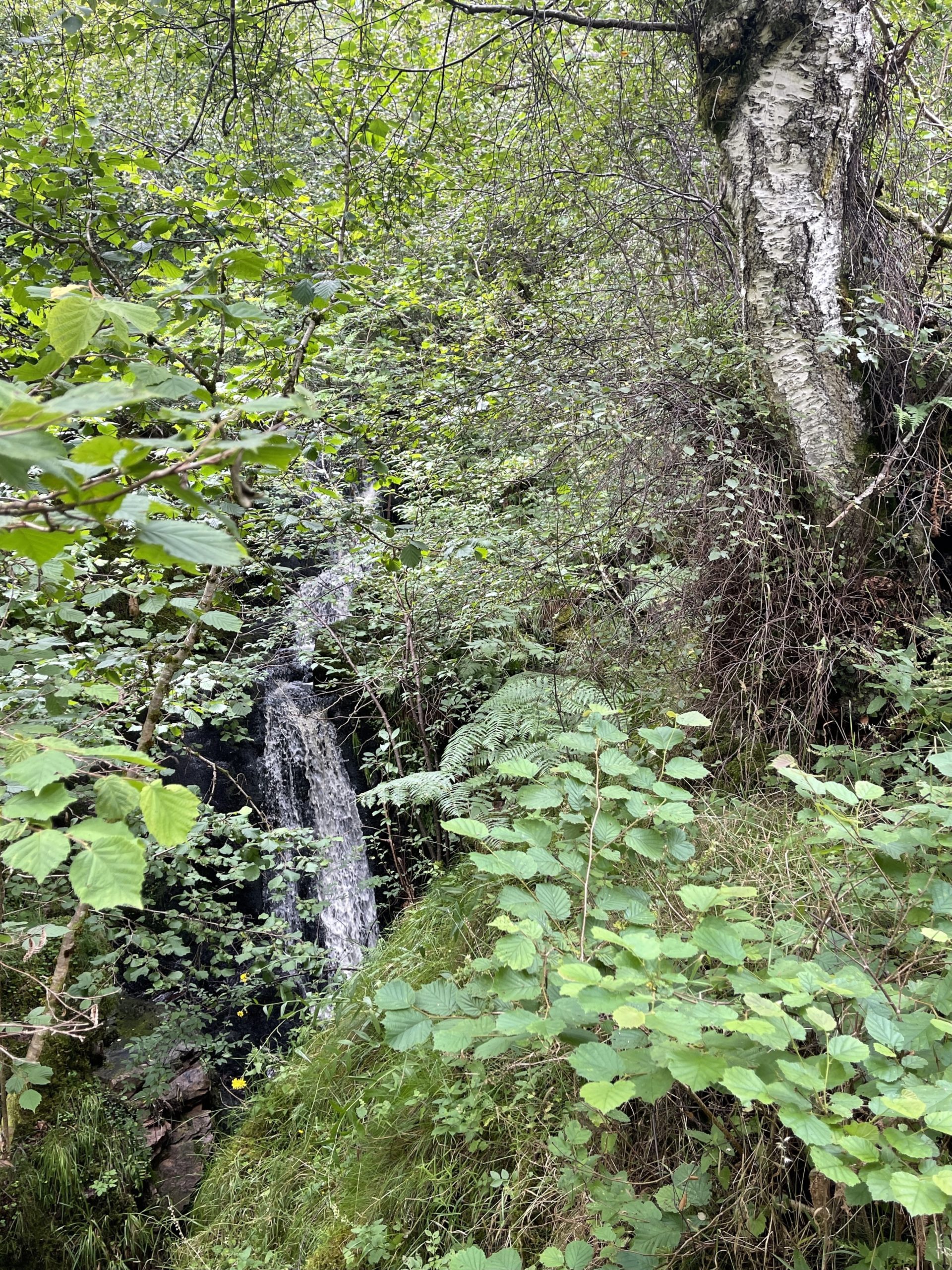 Dhulaig Falls