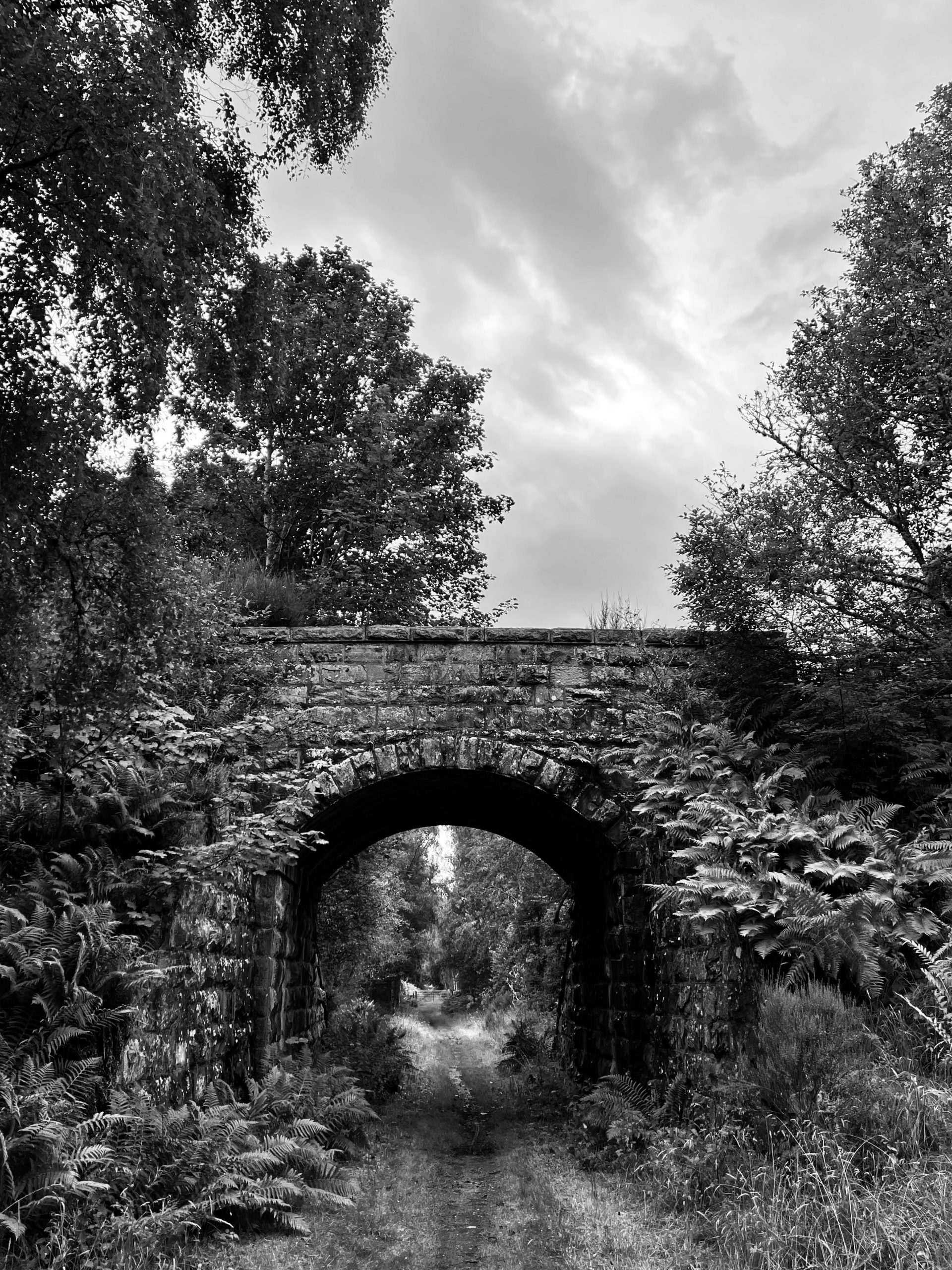 Speyside Way bridges