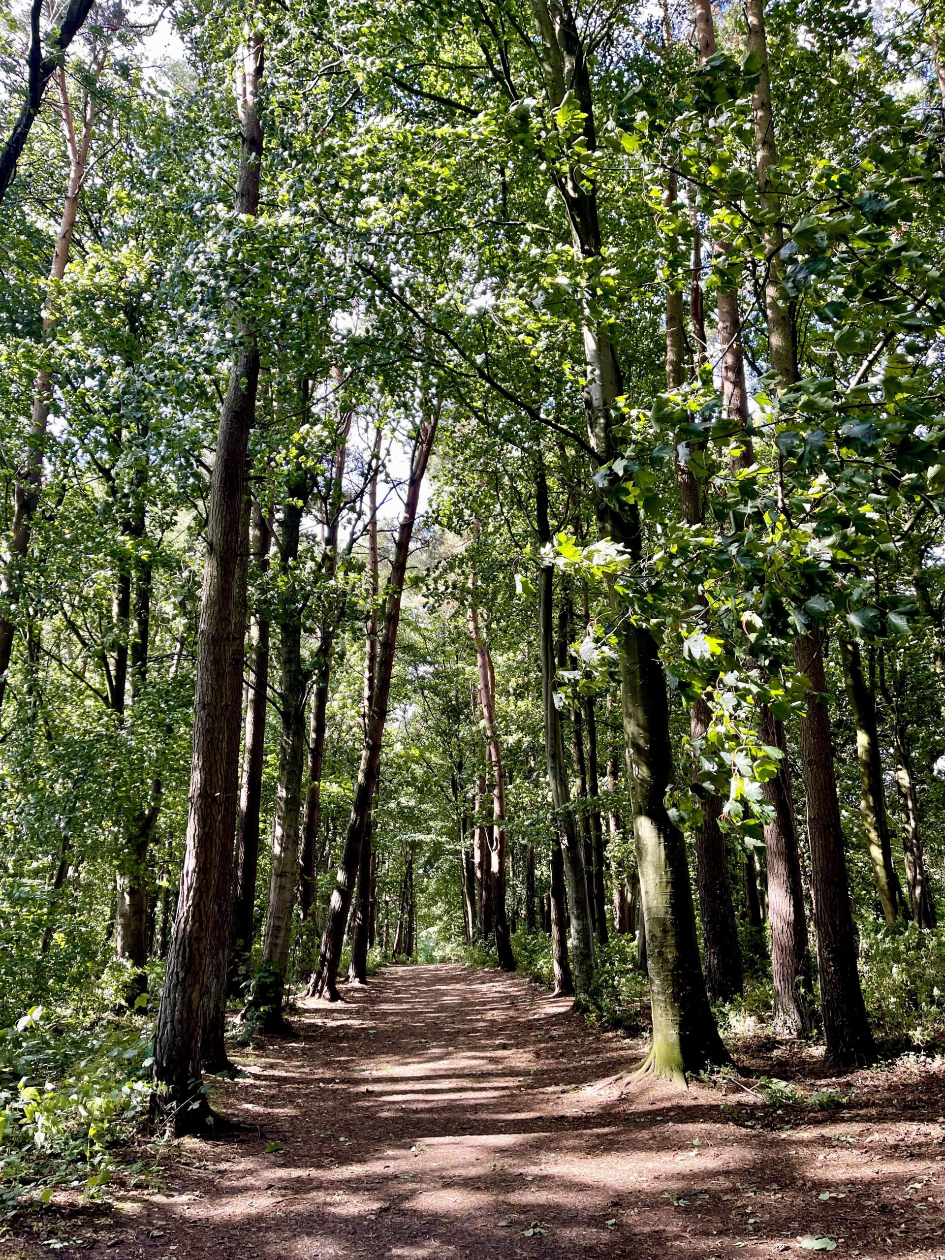 Rozelle Park - Ayr