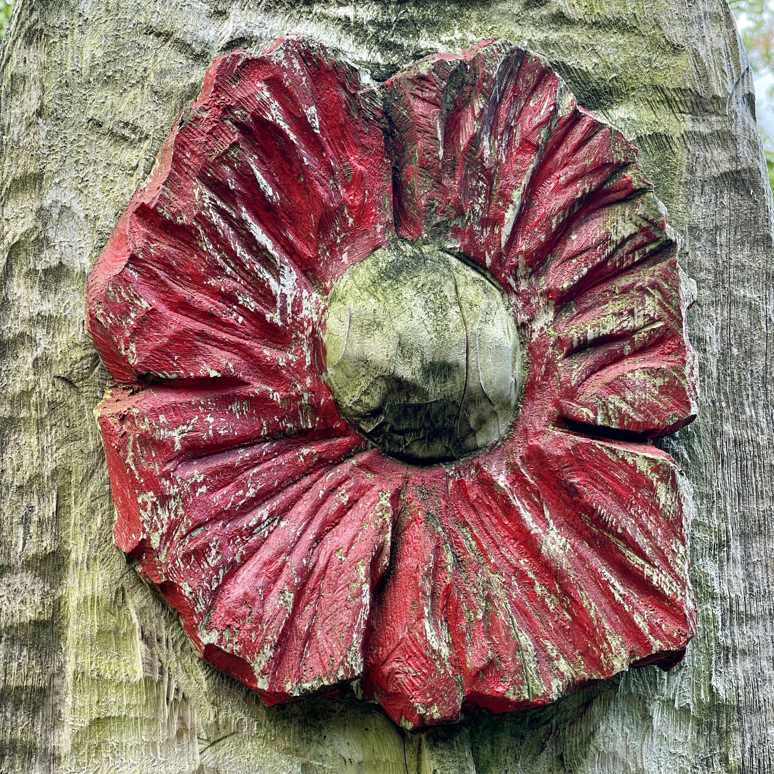 Wooden poppy