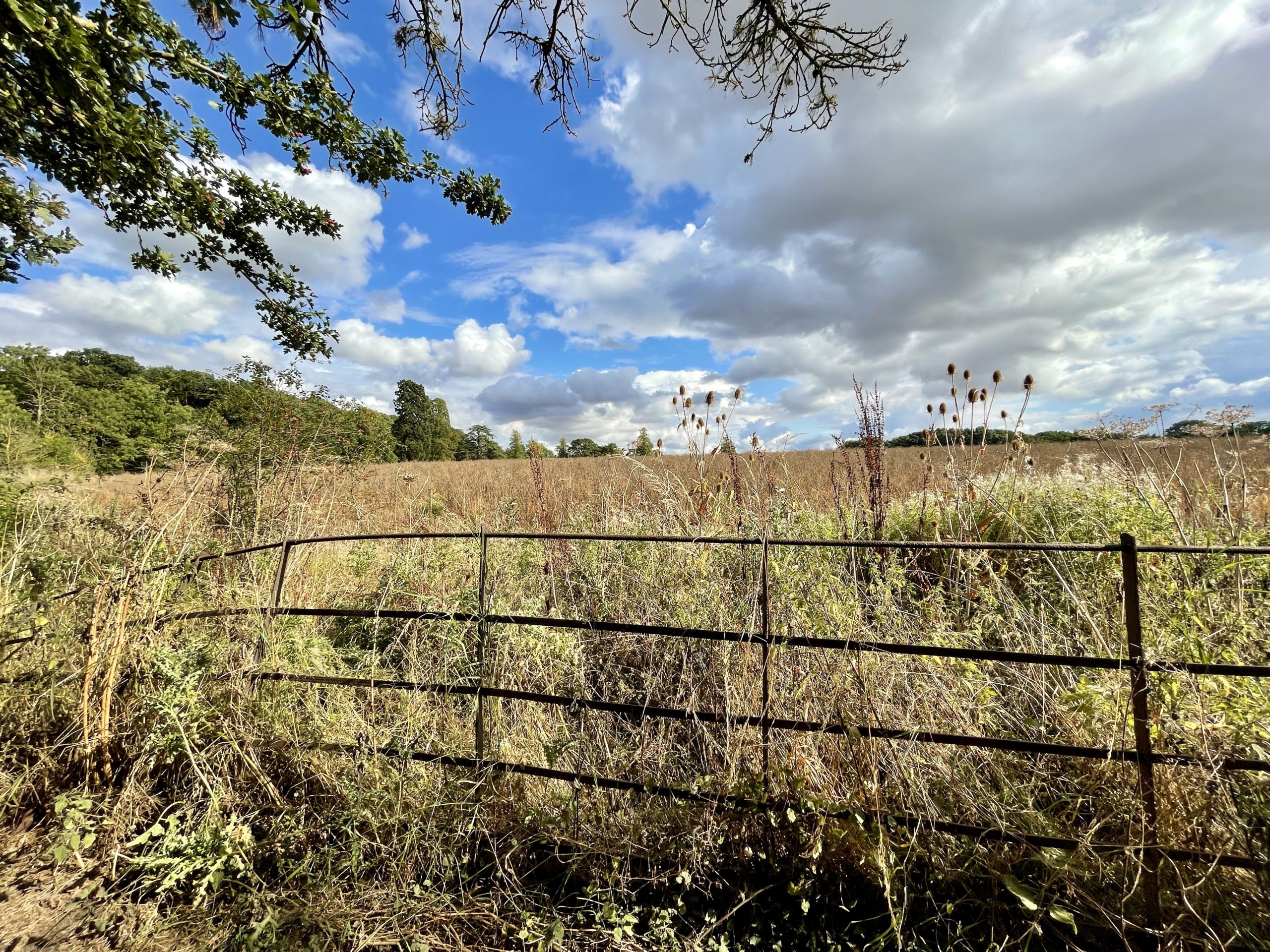 Lincolnshire countryside