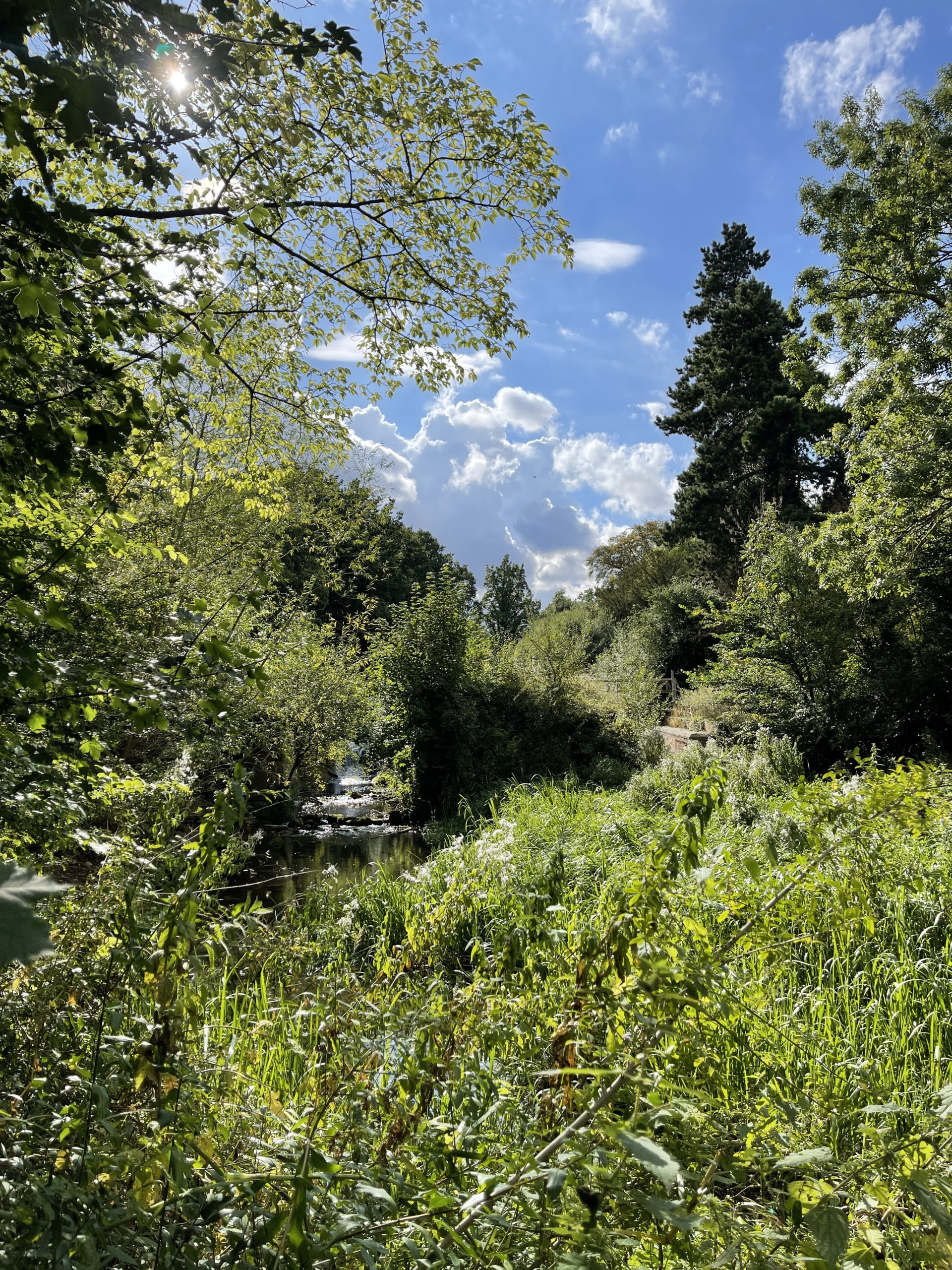 River Slea​ and weir