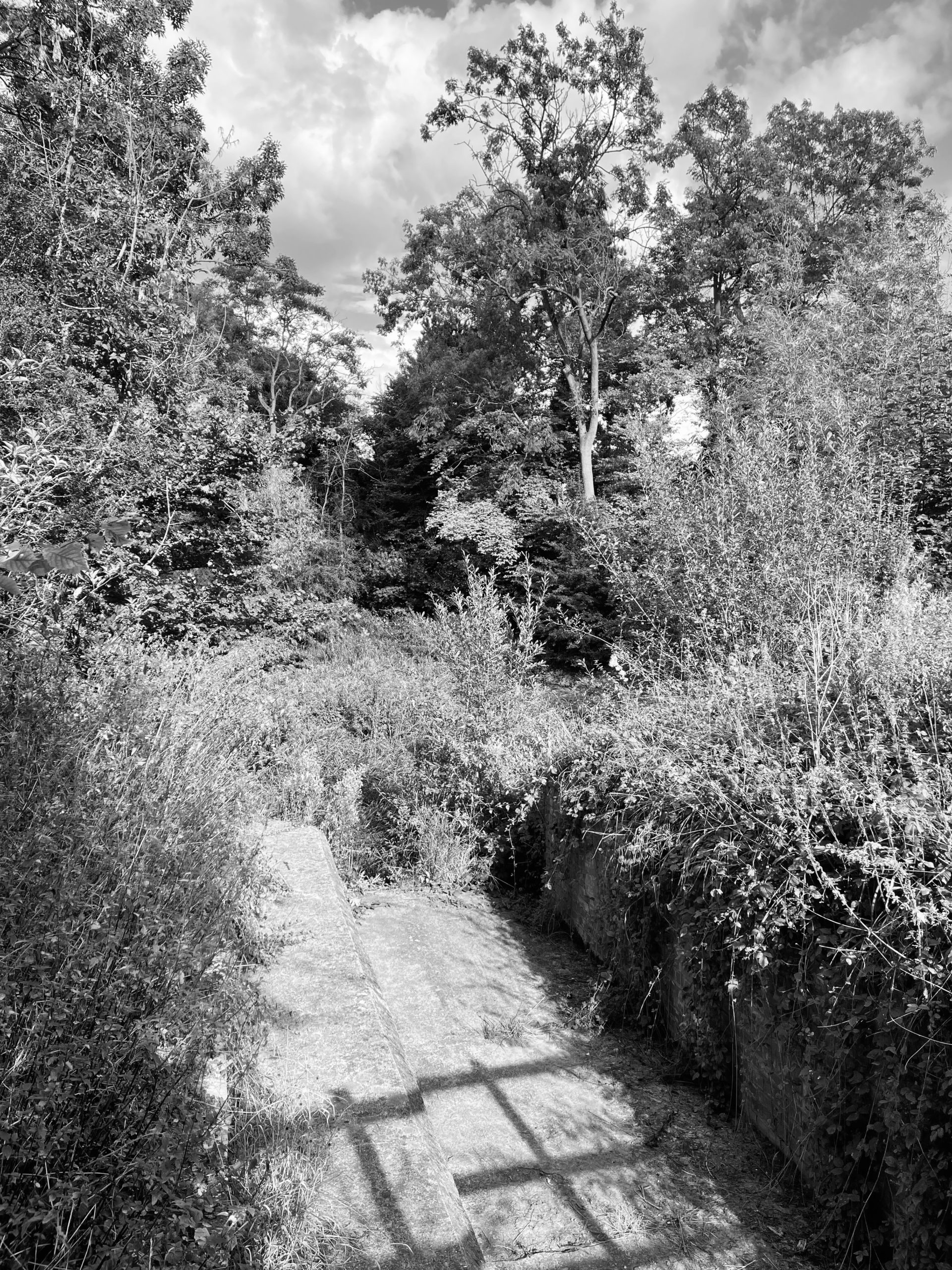 Weir and lock on the River Slea