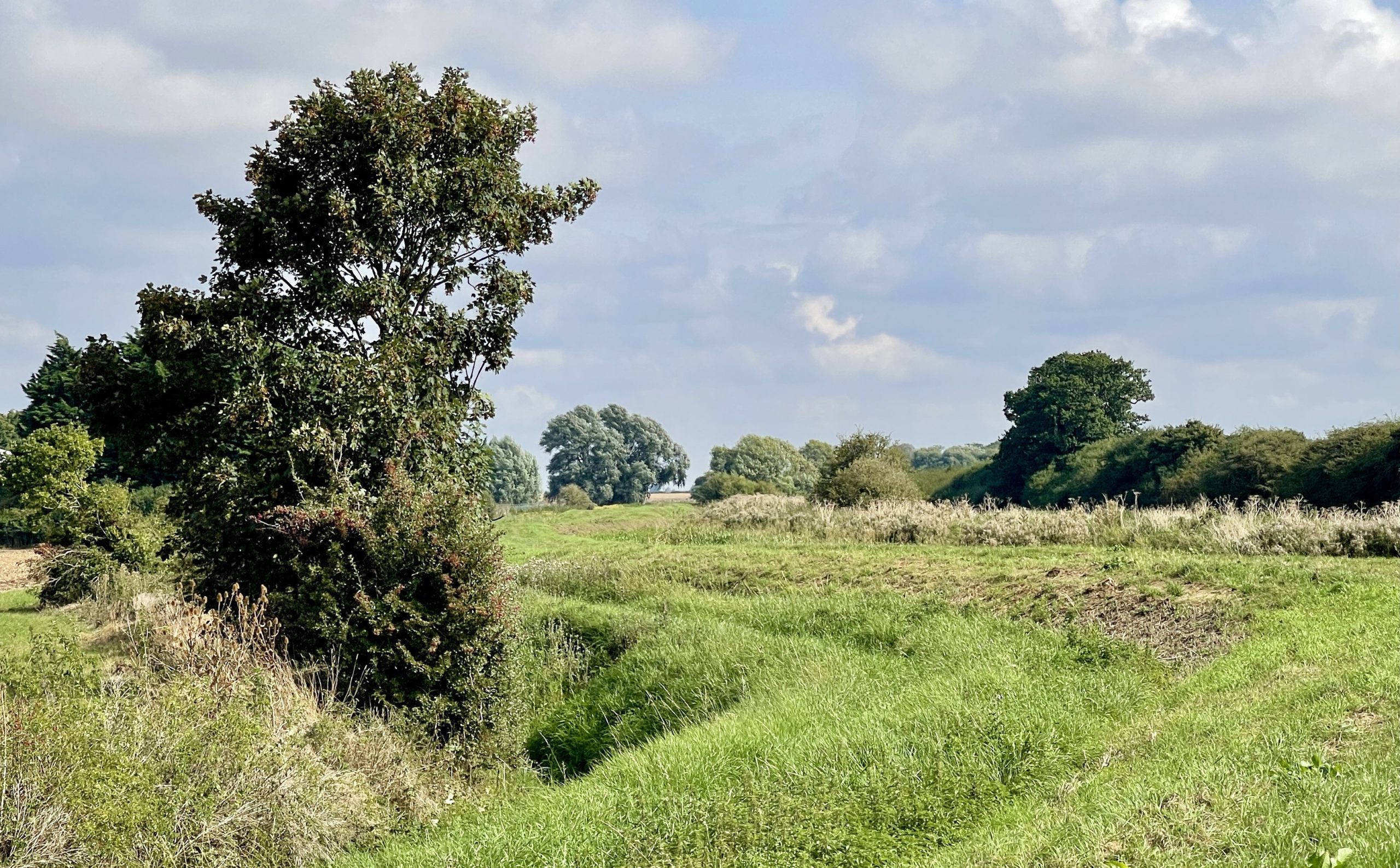 Footparh along the River Slea