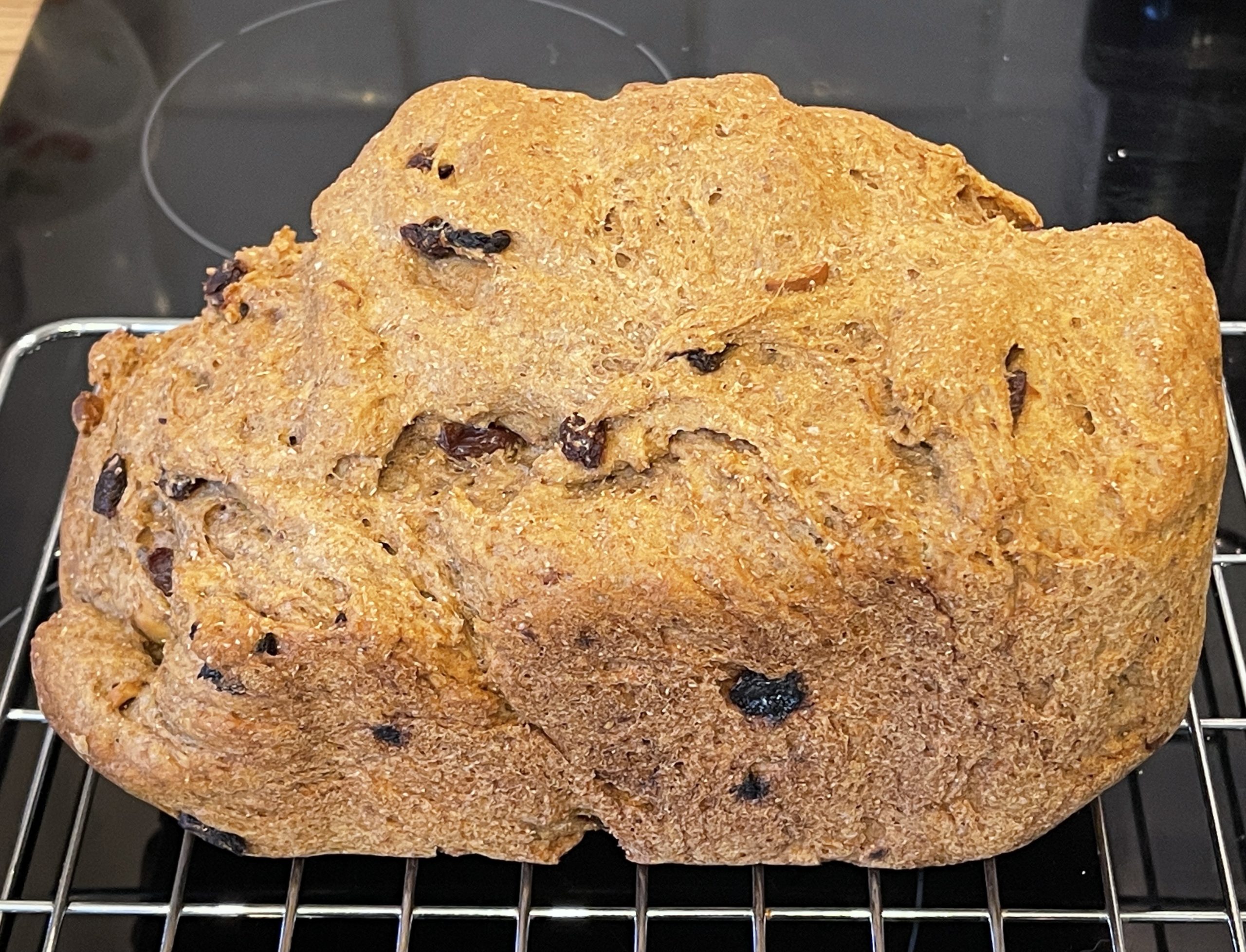 wholemeal cashew and saltana bread