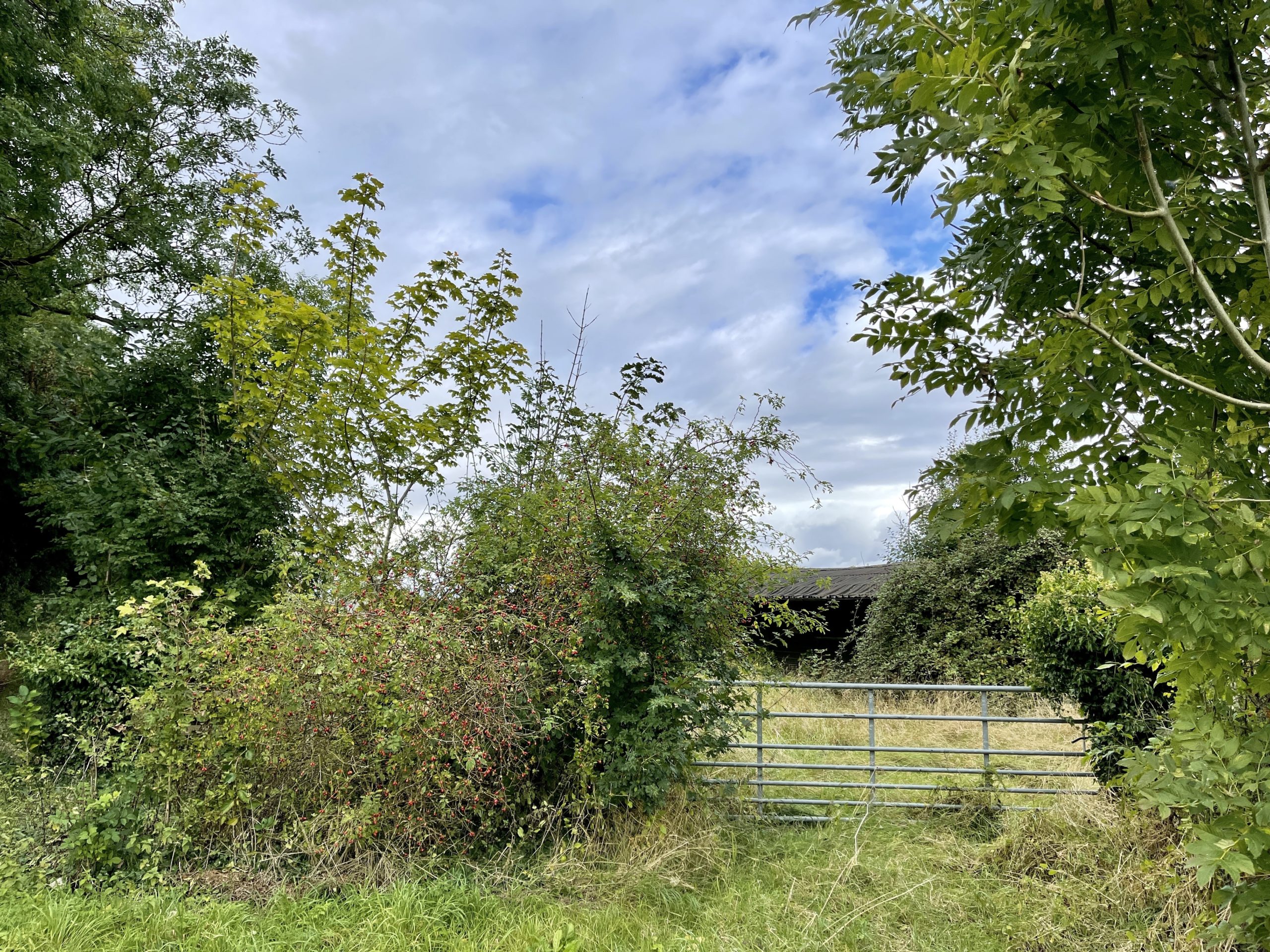 Branston countryside