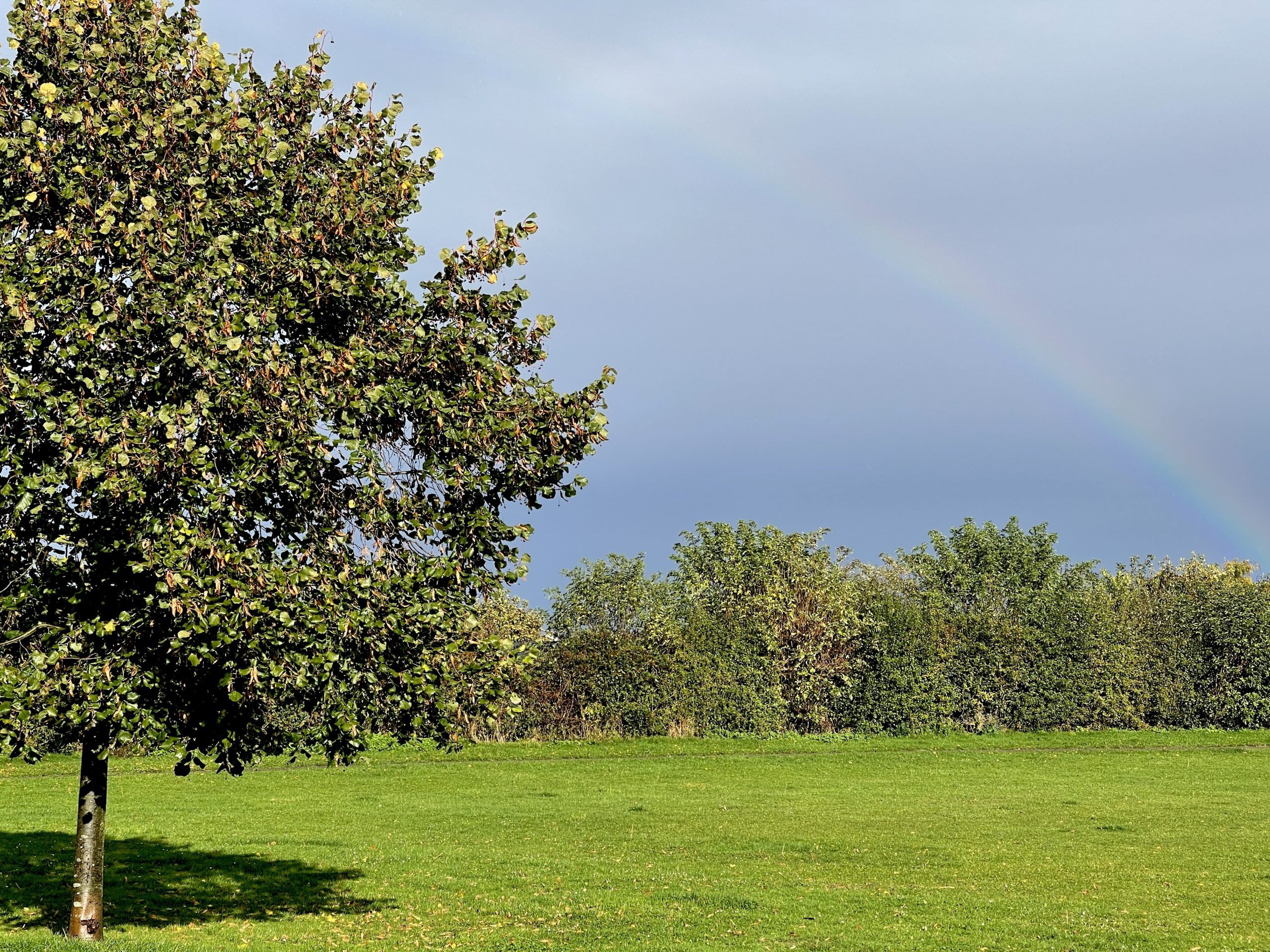 Rainbow over Branston