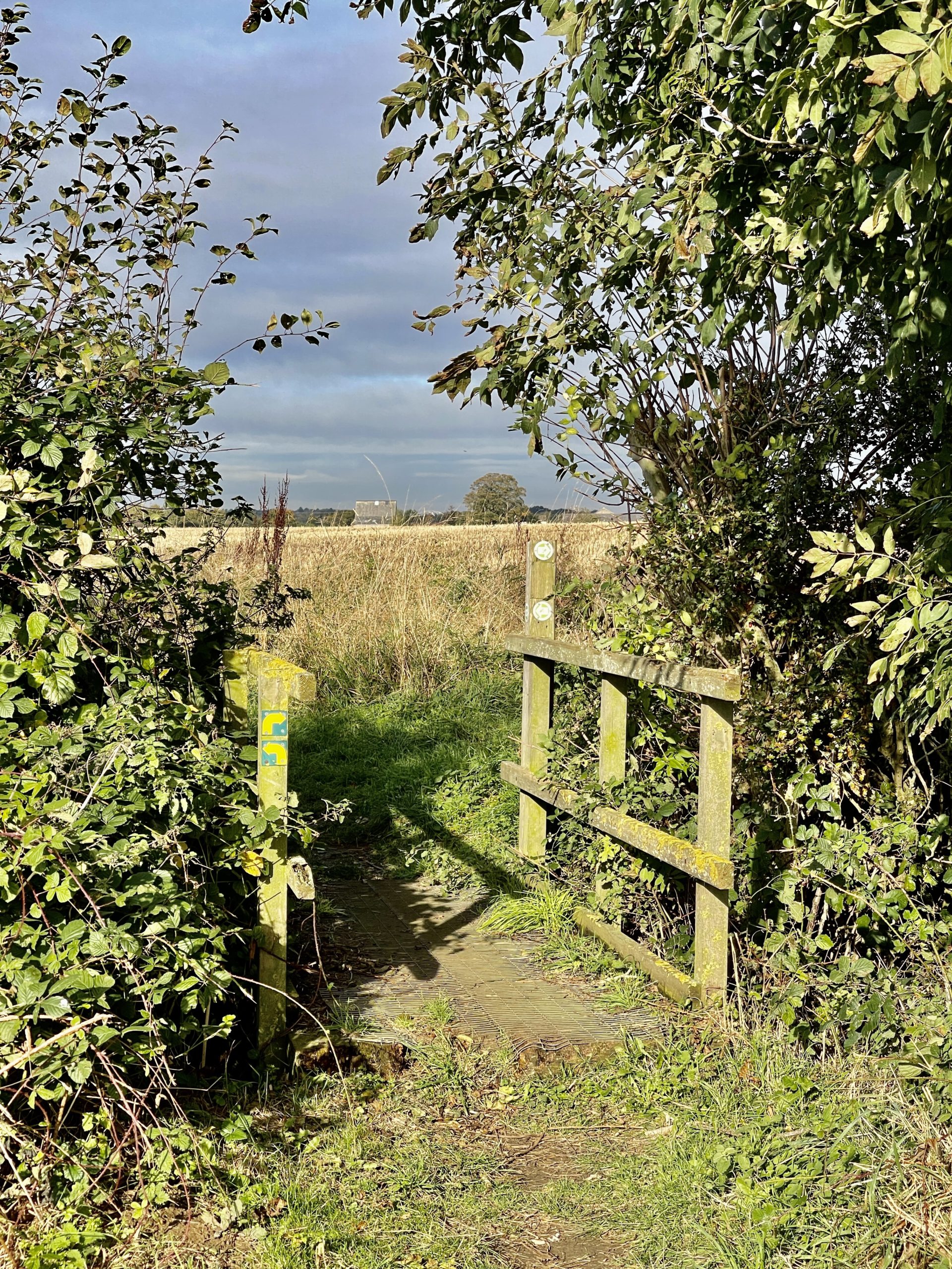 Ditch crossing