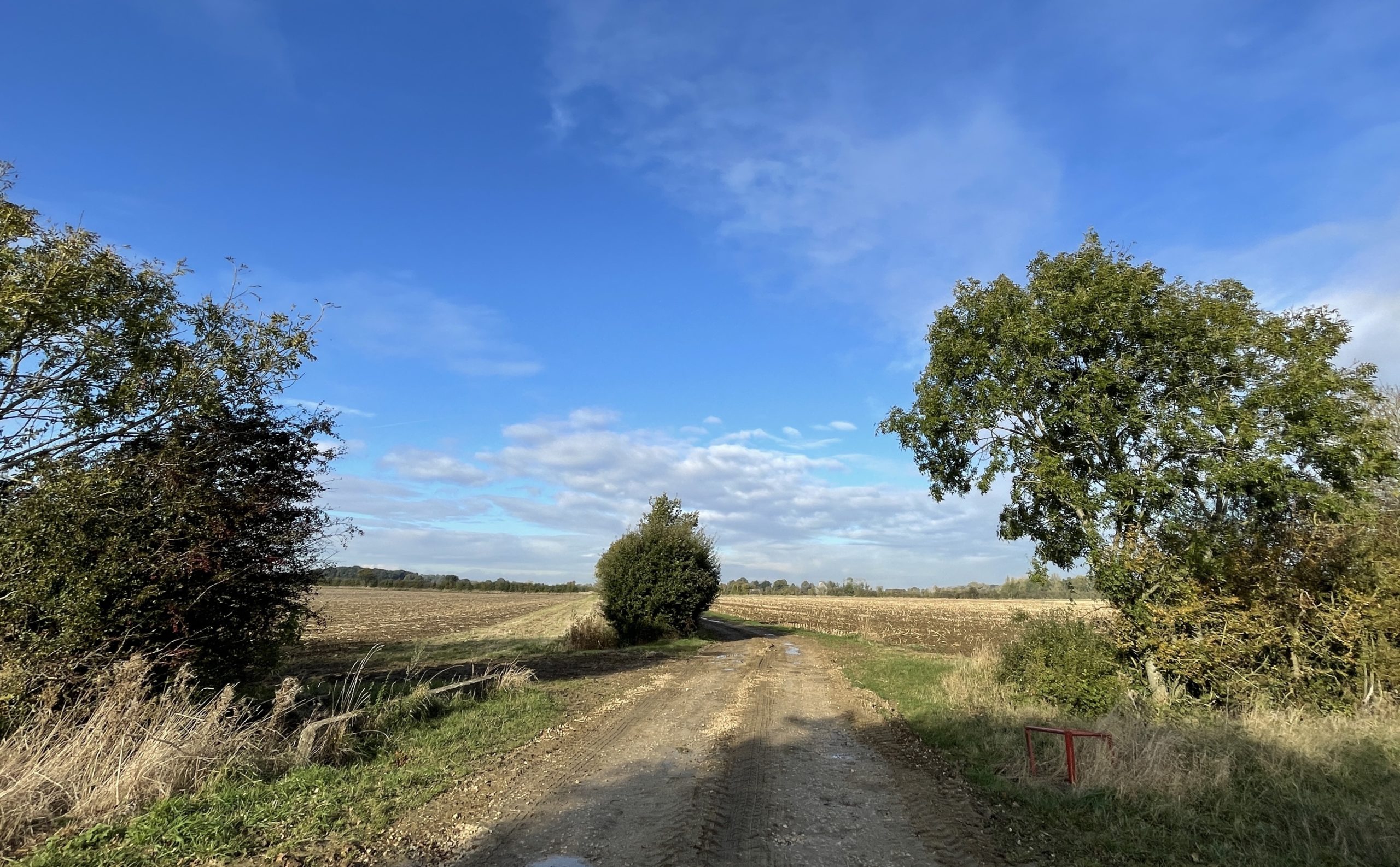 Footpath in Lincolnshire 