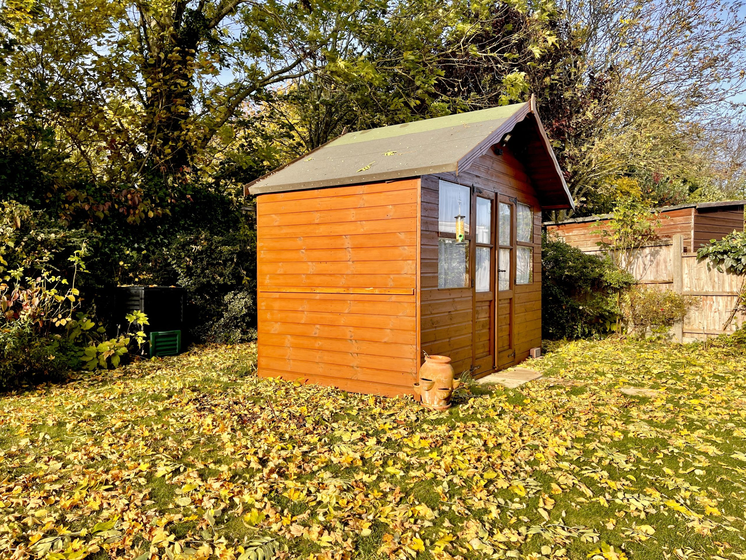 Autumn leaves​ The Shed
