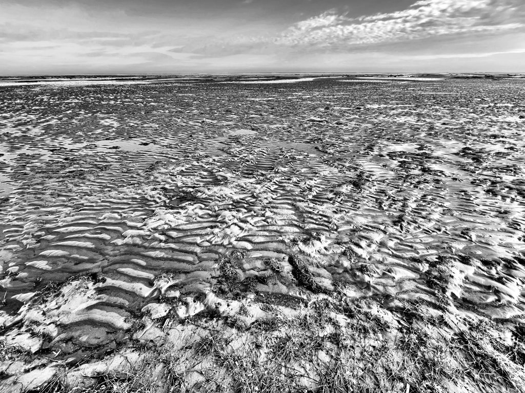 Lincolnshire sands