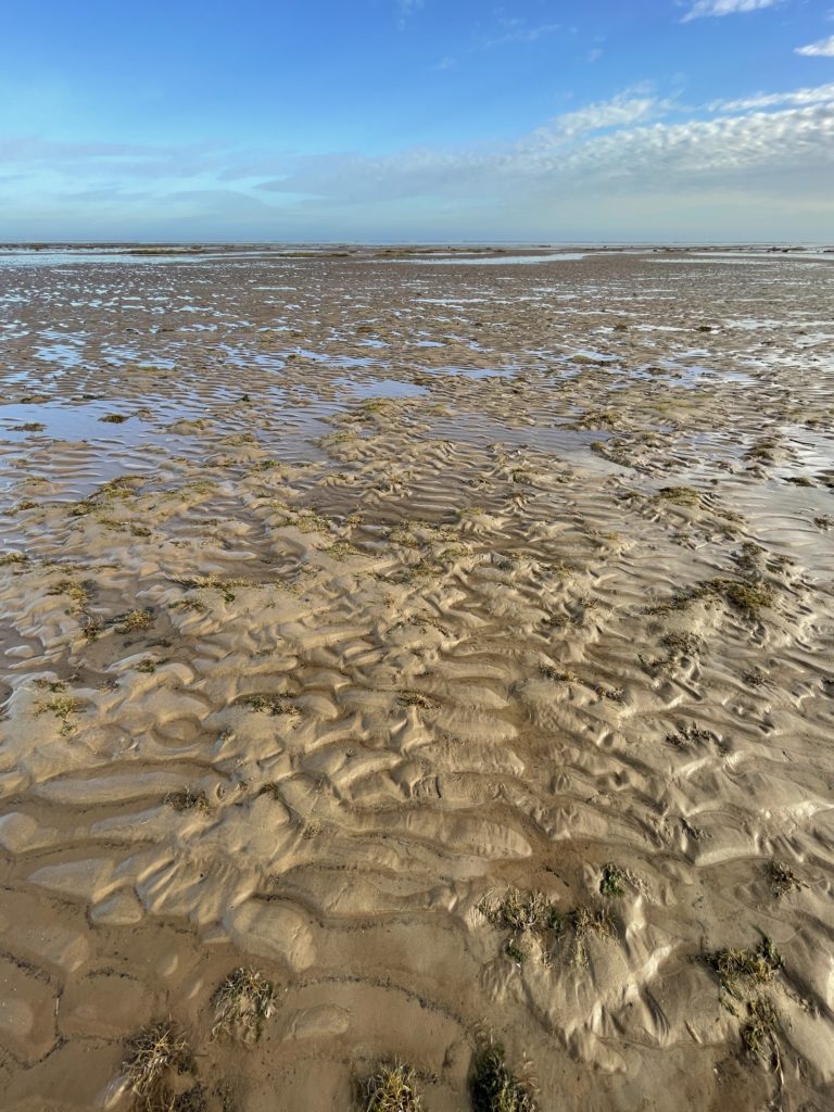 Lincolnshire Coast​