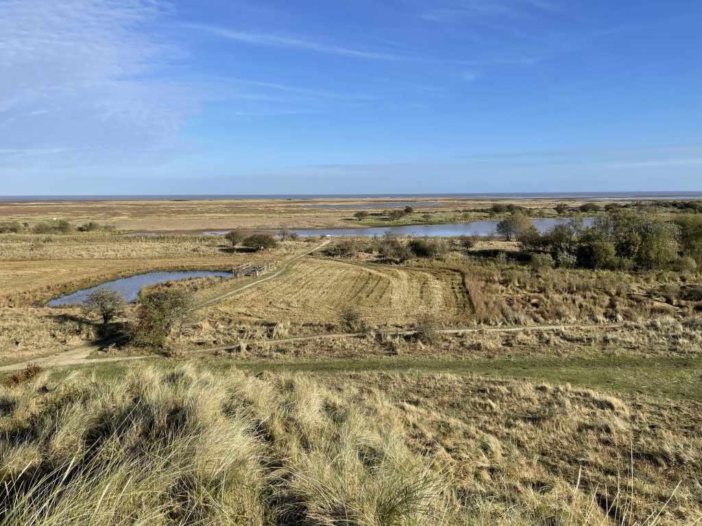 Flooded dunes​