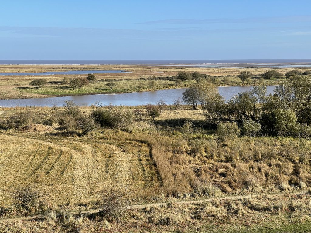 Flooded dunes