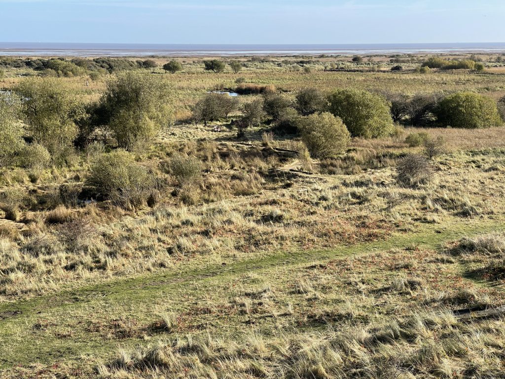 Lincolnshire dunes