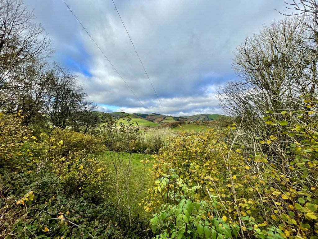 Near Machynlleth